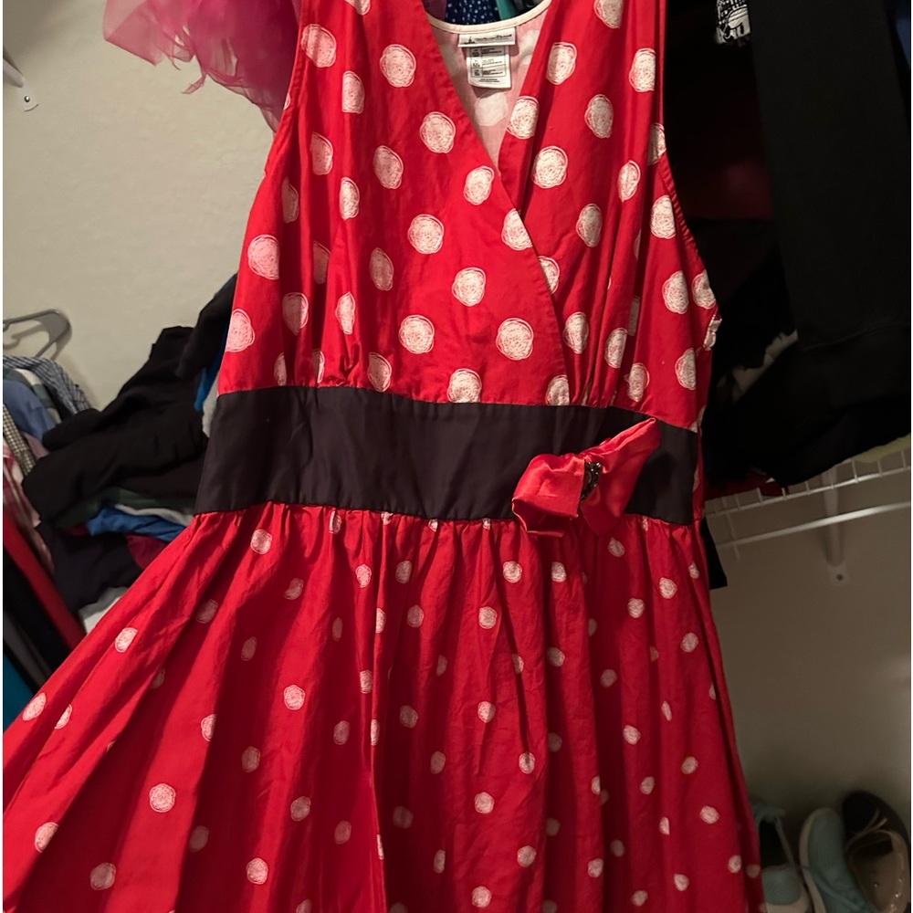 Disney Parks Minnie Mouse Dress worn once